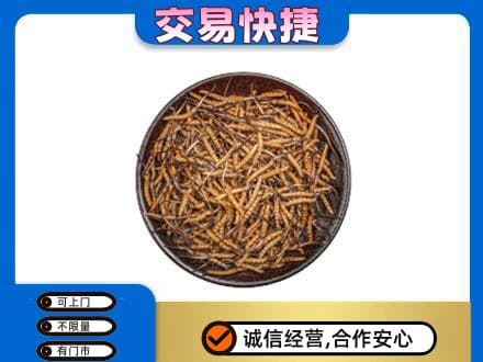 伊金霍洛旗高价回收散虫草